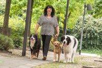 Claudia und unsere 3 Hunde